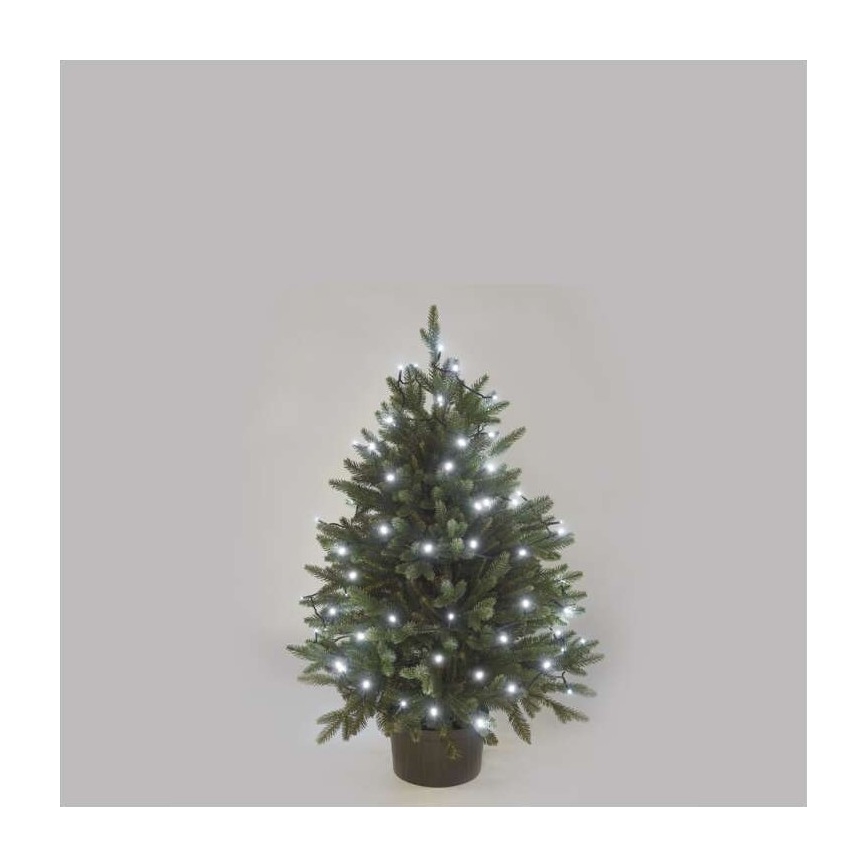 LED lauko girlianda, 80 LED, 13 m, IP44, šaltai balta