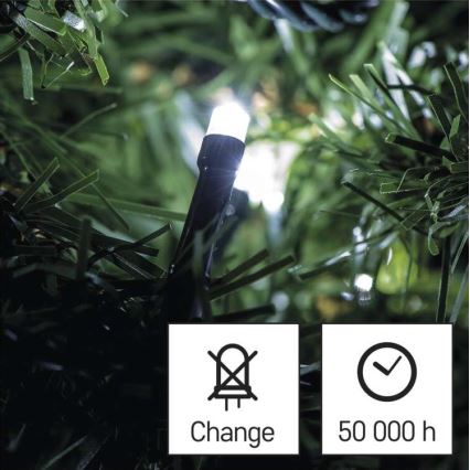 LED lauko girlianda, 80 LED, 13 m, IP44, šaltai balta