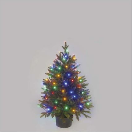 LED lauko girlianda 80xLED/13m IP44 daugiaspalvė