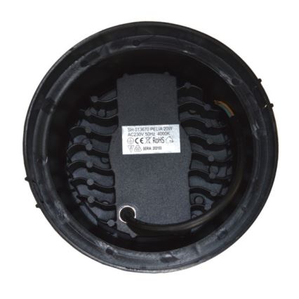 LED Lauko įvažiavimo šviestuvas PELIA LED/20W/230V IP67 4000K