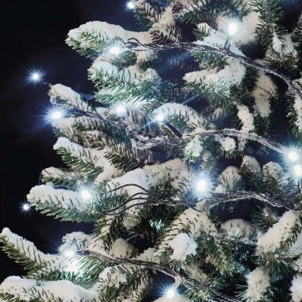 LED Lauko kalėdinė girlianda 100xLED/10m IP44 šaltai balta