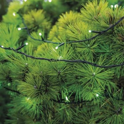 LED Lauko Kalėdinė girlianda 100xLED/10m IP44 žalia
