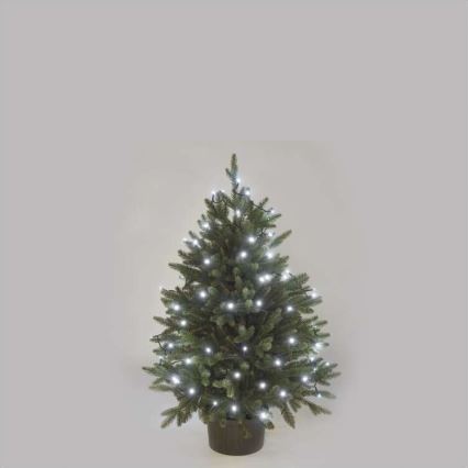 LED lauko kalėdinė girlianda 80xLED/13m IP44 šaltai balta