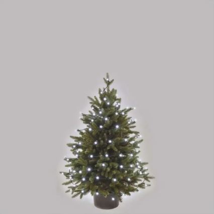 LED lauko kalėdinė girlianda 80xLED/8 funkcijų 13m šaltai balta IP44