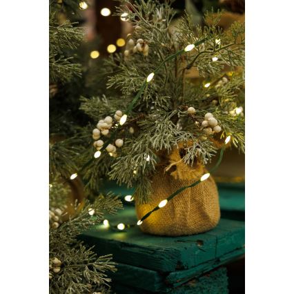 LED Lauko Kalėdinė girlianda LINE 700xLED/8 funkcijos 40 m IP44 šilta balta