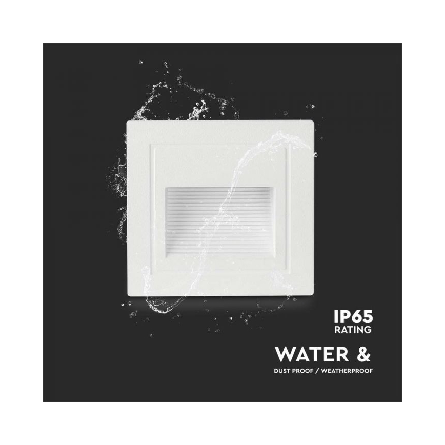 LED Lauko laiptų šviestuvas LED/5W/230V 3000K IP65 baltas