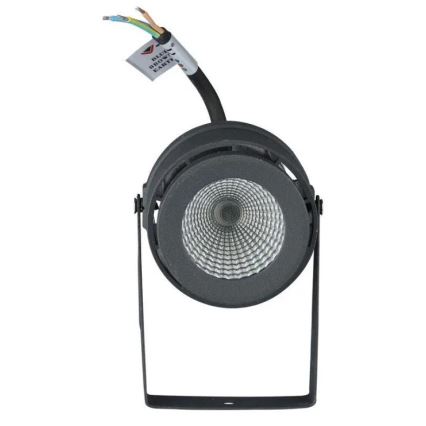 LED Lauko lempa LED/12W/230V 4000K antracitas IP65