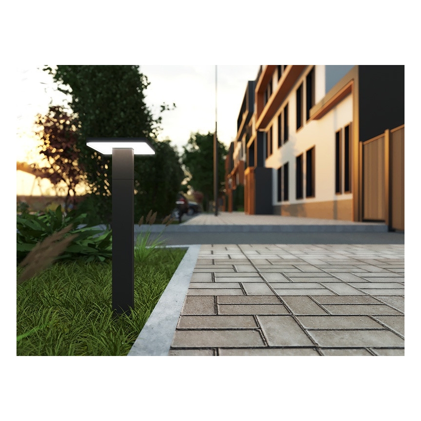 LED Lauko lempa su jutikliu BARI LED/10W/230V 4000K 60 cm IP54 antracitas