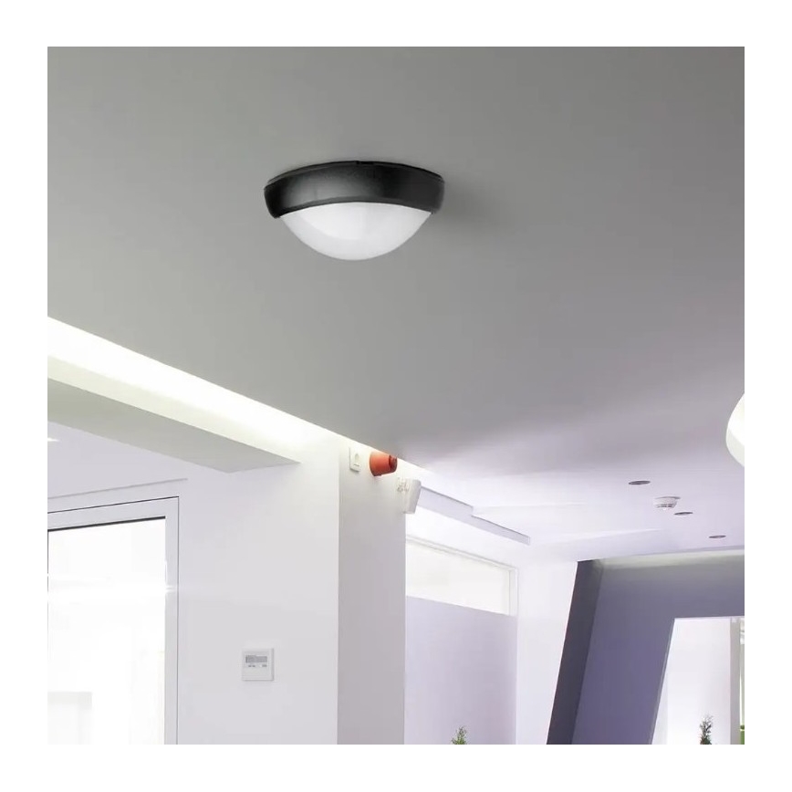 LED Lauko lubinis šviestuvas LED/12W/230V IP54