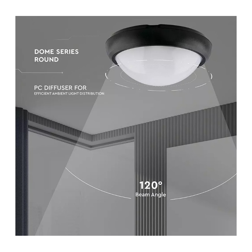 LED Lauko lubinis šviestuvas LED/12W/230V IP54