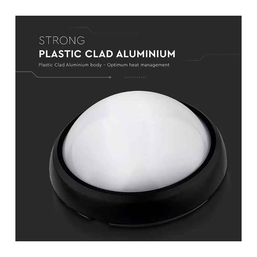 LED Lauko lubinis šviestuvas LED/12W/230V IP54