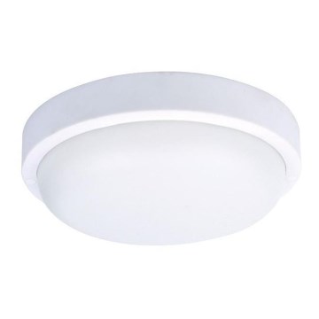 LED Lauko lubinis šviestuvas LED/20W/230V IP54