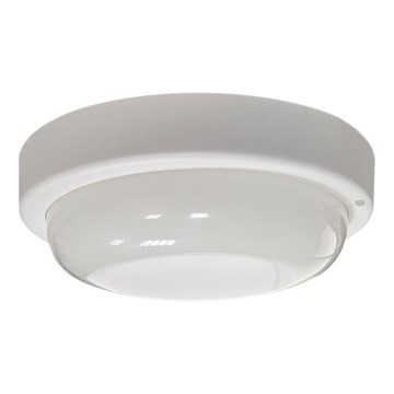 LED lauko lubinis šviestuvas LED/8W/230V 4200K skersmuo 14 cm IP64 baltas