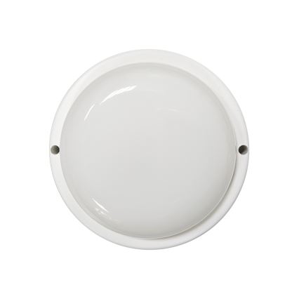 LED lauko lubinis šviestuvas LED/8W/230V 4200K skersmuo 14 cm IP64 baltas