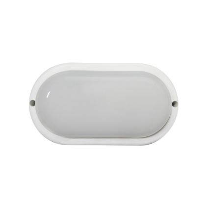 LED lauko lubinis šviestuvas LED/8W/230V 4200K Ø 14 cm IP64 baltas