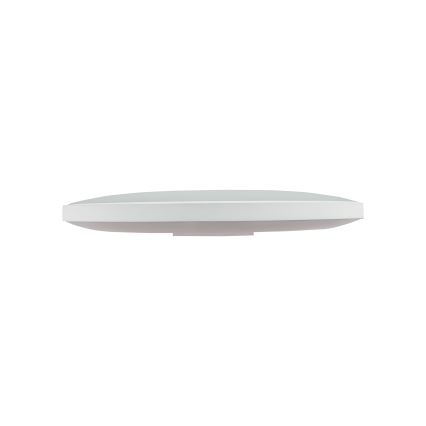 LED Lauko lubinis šviestuvas NYMPHEA LED/32W/230V IP54 3000K