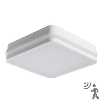 LED Lauko lubų šviestuvas su jutikliu BENO LED/18W/230V 4000K baltas IP54