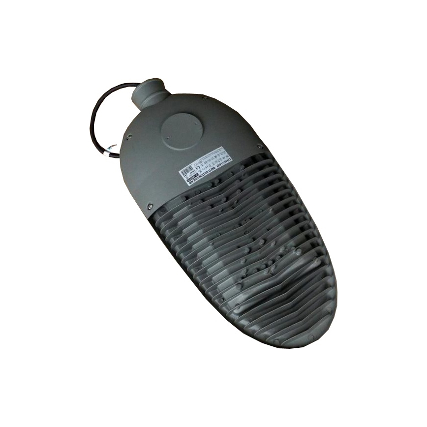 LED Lauko prožektorius BOSTON LED/60W/230V IP65