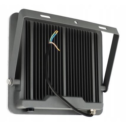 LED Lauko prožektorius LED/100W/230V 4500K IP65 pilkas