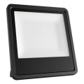 LED lauko prožektorius LED/30W/230V 4000K IP65 juoda