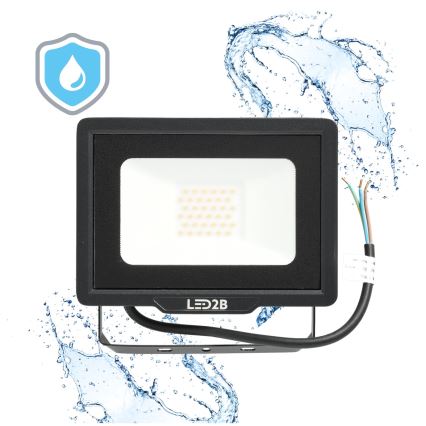 LED lauko prožektorius LED/30W/230V 6500K IP65