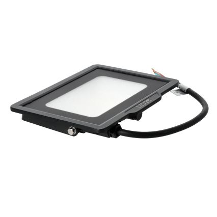 LED lauko prožektorius LED/30W/230V 6500K IP65