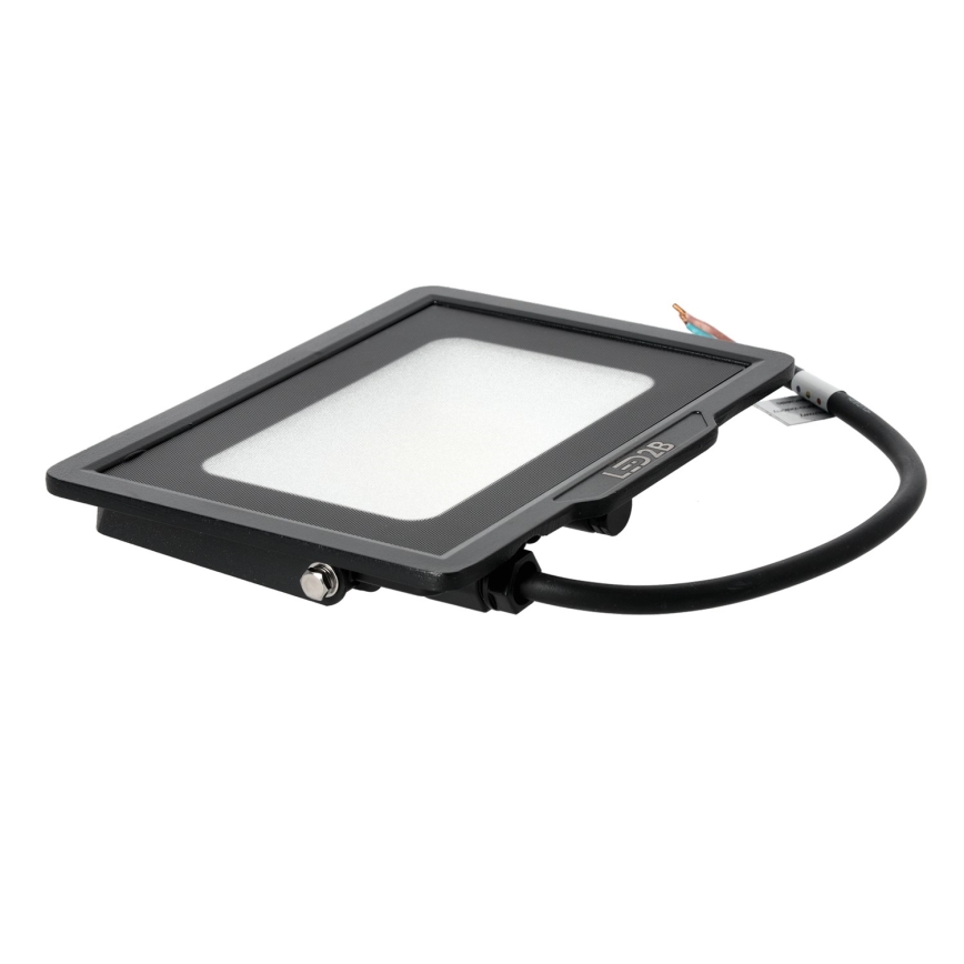 LED lauko prožektorius LED/30W/230V 6500K IP65