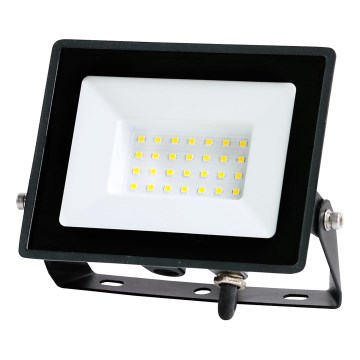LED lauko prožektorius LED/30W/230V IP65 6500K