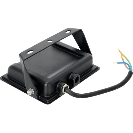 LED lauko prožektorius LED/30W/230V IP65 6500K