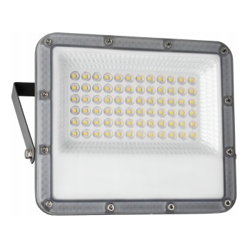 LED Lauko prožektorius LED/50W/230V 4500K IP65 pilkas