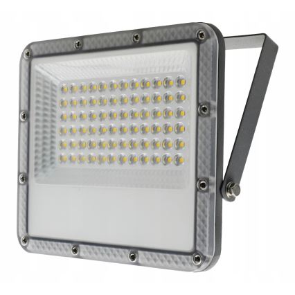 LED Lauko prožektorius LED/50W/230V 4500K IP65 pilkas