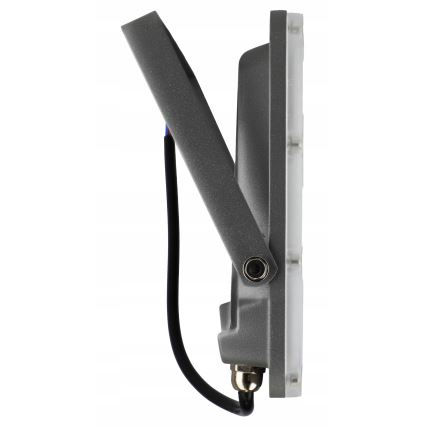 LED Lauko prožektorius LED/50W/230V 4500K IP65 pilkas