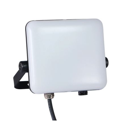 LED lauko prožektorius MILKY LED/30W/230V 4000K IP65 juoda