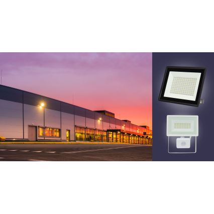 LED lauko prožektorius NOCTIS LUX 3 LED/30W/230V 3000K IP65 balta