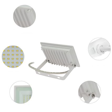 LED Lauko prožektorius NOCTIS LUX 3 LED/30W/230V 4000K IP65 baltas