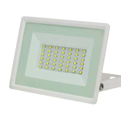 LED Lauko prožektorius NOCTIS LUX 3 LED/30W/230V 4000K IP65 baltas