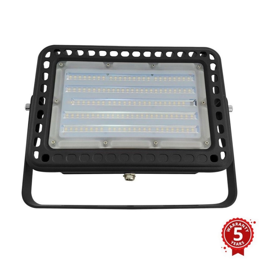 LED lauko prožektorius PROFI LED/100W/180-305V IP65