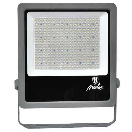 LED lauko prožektorius PROFI PLUS LED/300W/230V 5000K IP66