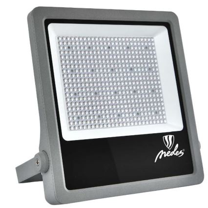 LED lauko prožektorius PROFI PLUS LED/300W/230V 5000K IP66