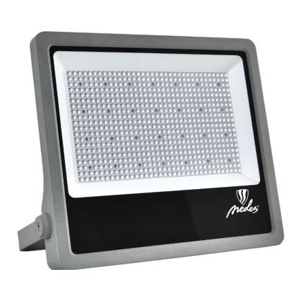 LED lauko prožektorius PROFI PLUS LED/400W/230V 5000K IP66
