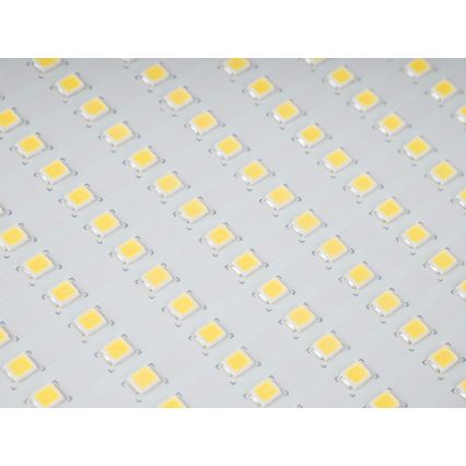 LED lauko prožektorius STAR LED/150W/230V IP65 5000K