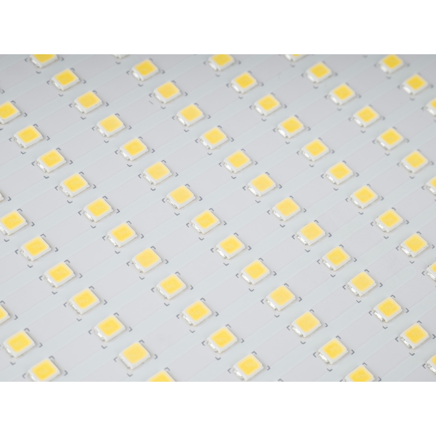 LED lauko prožektorius STAR LED/150W/230V IP65 5000K