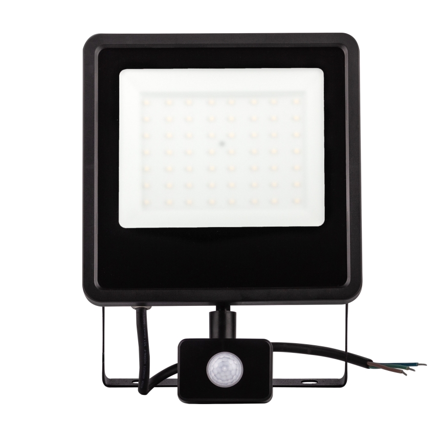 LED Lauko prožektorius su jutikliu LED/30W/230V 4000K IP65 juoda
