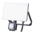 LED Lauko prožektorius su jutikliu LED/30W/230V 5000K IP44