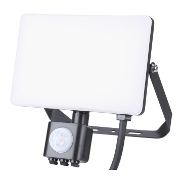 LED Lauko prožektorius su jutikliu LED/30W/230V 5000K IP44