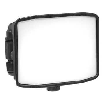 LED lauko prožektorius ZIPO LED/10W/230V 5000K IP65 juoda