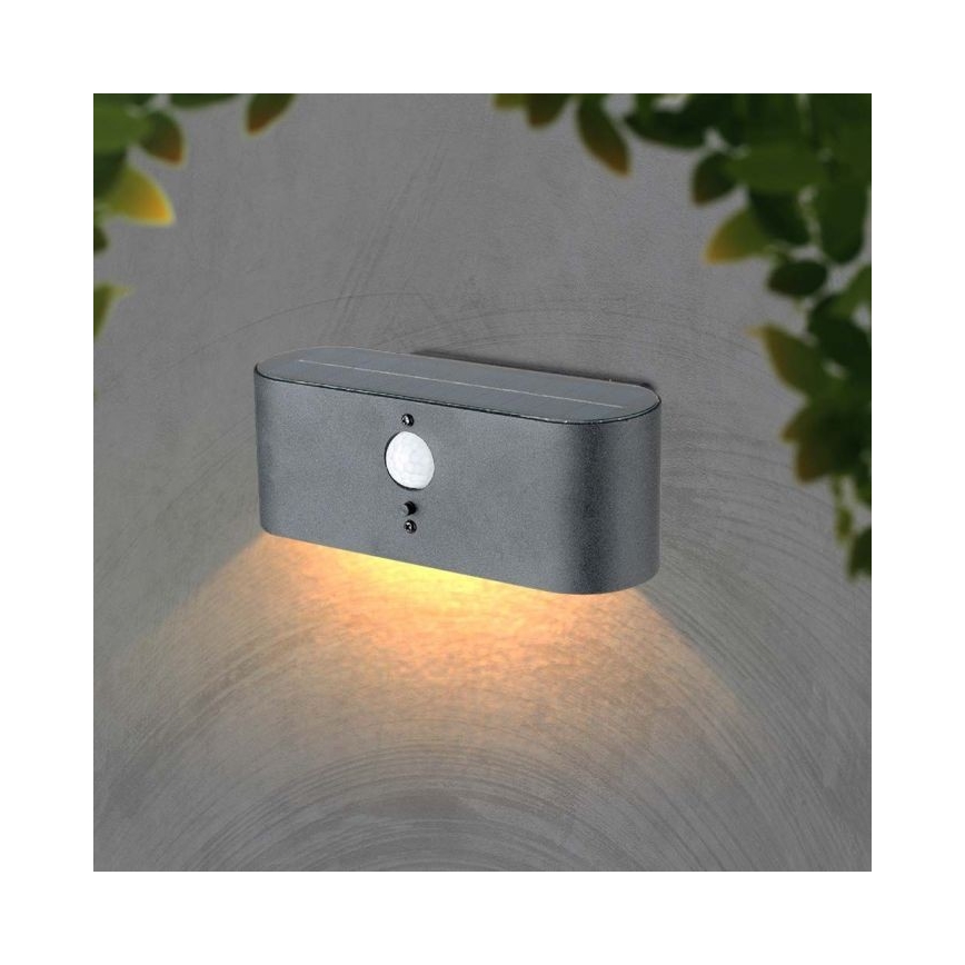 LED Lauko saulės Sieninis šviestuvas su jutikliu LED/2,5W/3,7V 3000K IP54