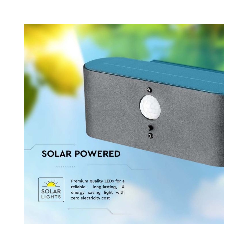 LED Lauko saulės sieninis šviestuvas su jutikliu LED/2,5W/3,7V 3000K IP54 2000 mAh
