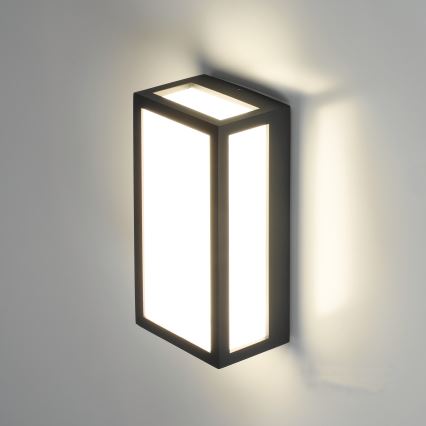 LED Lauko sieninis šviestuvas ENTERA LED/10W/230V 4000K IP54
