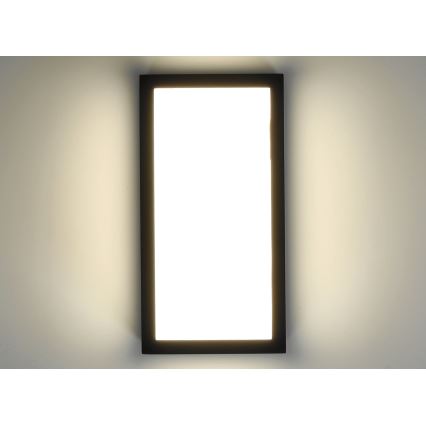 LED Lauko sieninis šviestuvas ENTERA LED/10W/230V 4000K IP54